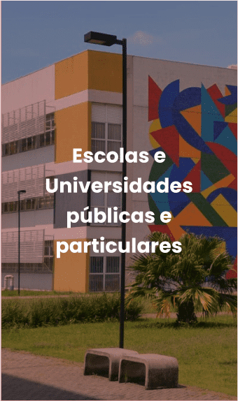 Universidade